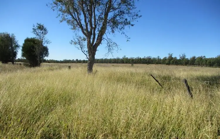 Fifth view of Homely rural property listing, 564 ACRES, Jandowae QLD 4410