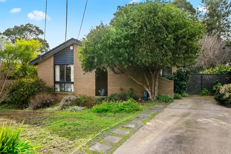 Main view of Homely house listing, 249B Boronia Road, Boronia VIC 3155