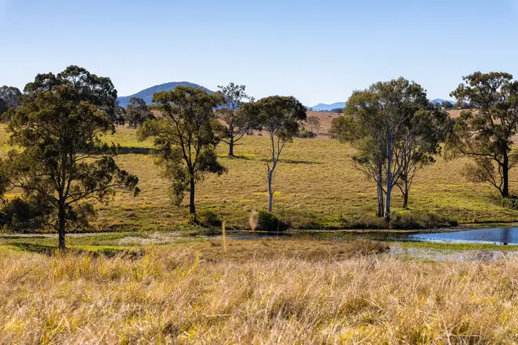 Third view of Homely rural property listing, 58 Nowendoc Road, Killawarra NSW 2429