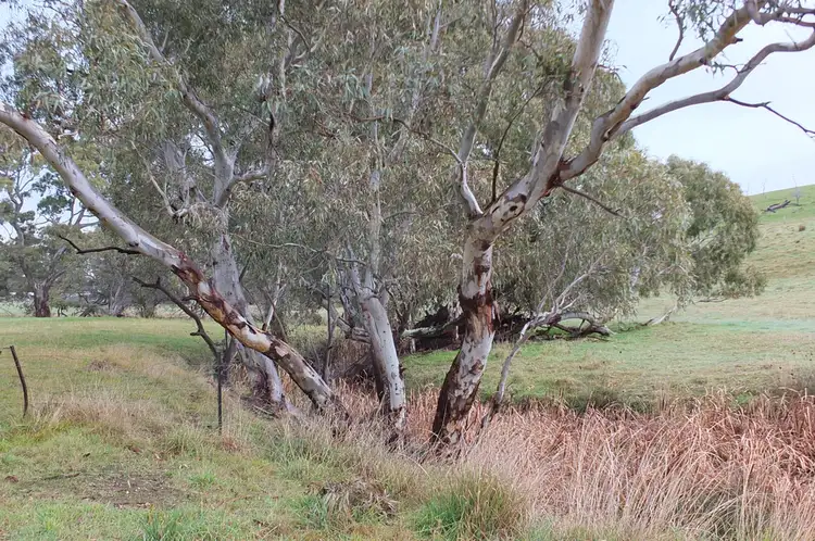 Fourth view of Homely rural property listing, CA1A & CA164 McDonalds Road,, Amphitheatre VIC 3468