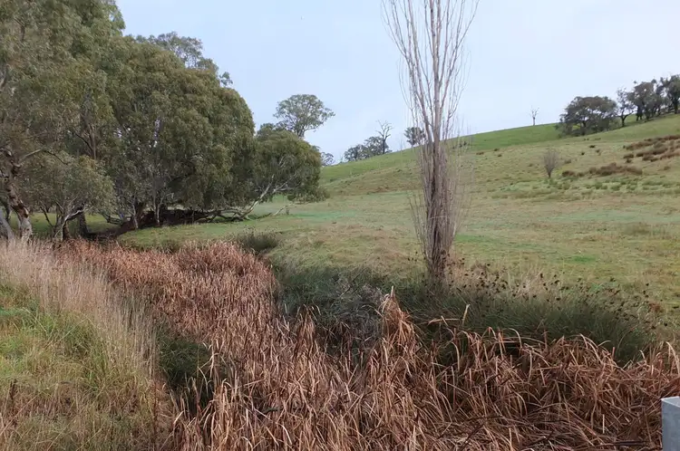Fifth view of Homely rural property listing, CA1A & CA164 McDonalds Road,, Amphitheatre VIC 3468
