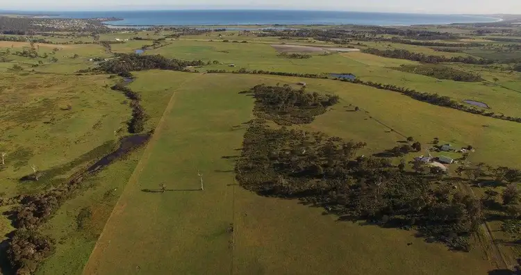 Seventh view of Homely rural property listing, 1791 Bridport Road, Bridport TAS 7262