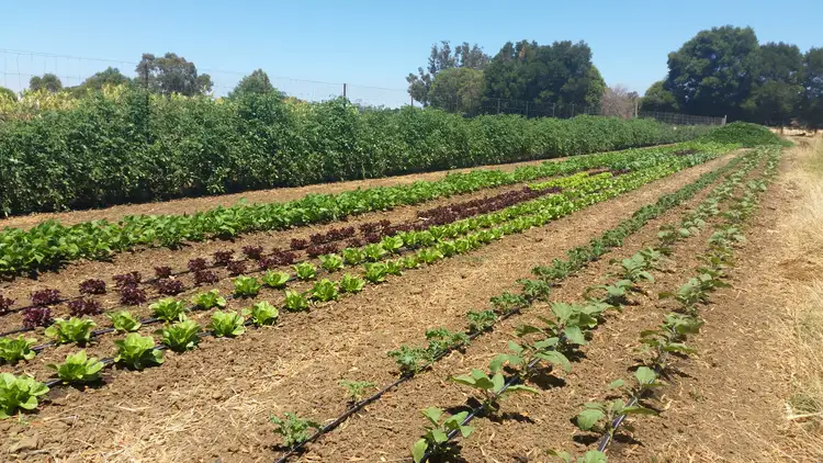 Fourth view of Homely house listing, 159 James Rd, Waroona WA 6215