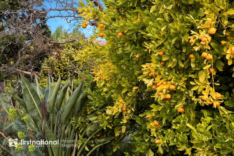Fourth view of Homely house listing, 9 Moonya Drive, Kingston Beach TAS 7050