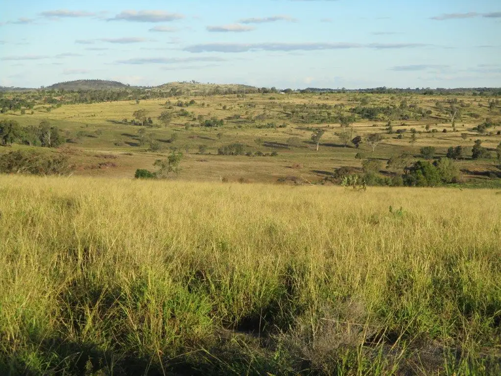 Main view of Homely rural property listing, 1146 ACRES SCRUB COUNTRY, GRAZING - COORANGA NORTH DISTRICT, Bell QLD 4408