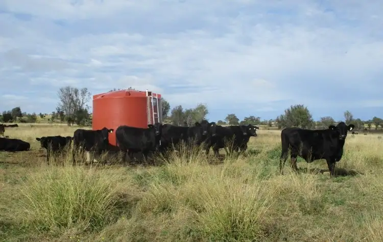 Third view of Homely rural property listing, 1146 ACRES SCRUB COUNTRY, GRAZING - COORANGA NORTH DISTRICT, Bell QLD 4408