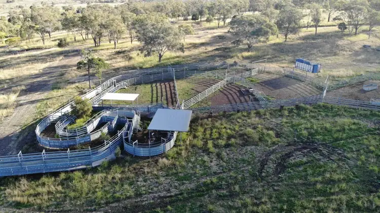 Fifth view of Homely rural property listing, 1146 ACRES SCRUB COUNTRY, GRAZING - COORANGA NORTH DISTRICT, Bell QLD 4408