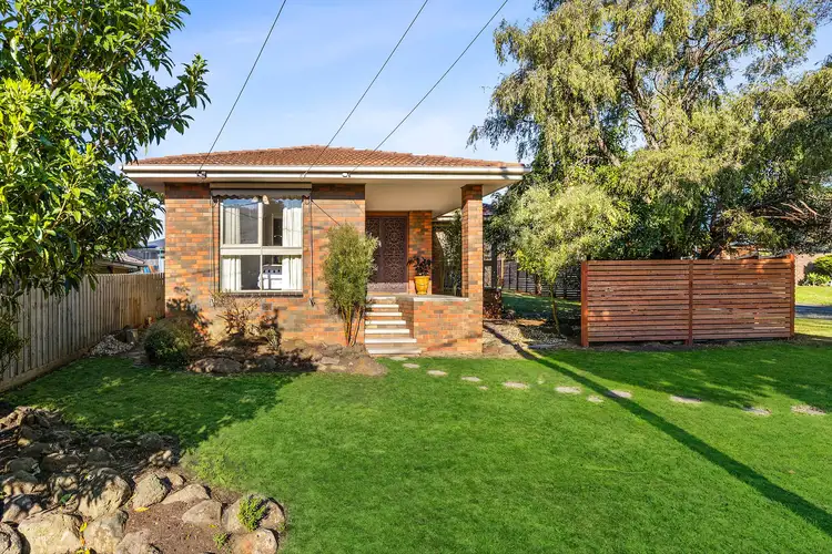 31 Walpole Avenue, Belmont VIC 3216