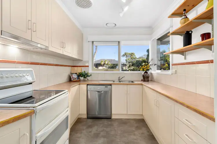 Fifth view of Homely house listing, 31 Walpole Avenue, Belmont VIC 3216