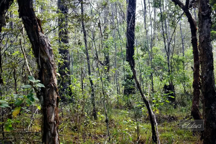 Main view of Homely land listing, Lot 140 Daniel Road, Bauple QLD 4650