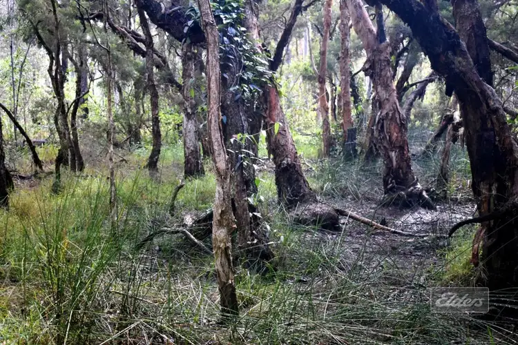 Second view of Homely land listing, Lot 140 Daniel Road, Bauple QLD 4650