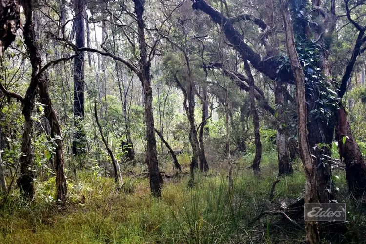 Fifth view of Homely land listing, Lot 140 Daniel Road, Bauple QLD 4650