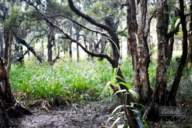 Seventh view of Homely land listing, Lot 140 Daniel Road, Bauple QLD 4650