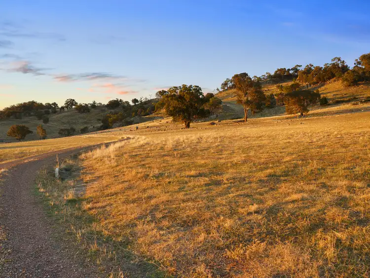 Fourth view of Homely rural property listing, 665 Creightons Creek Road, Creightons Creek VIC 3666