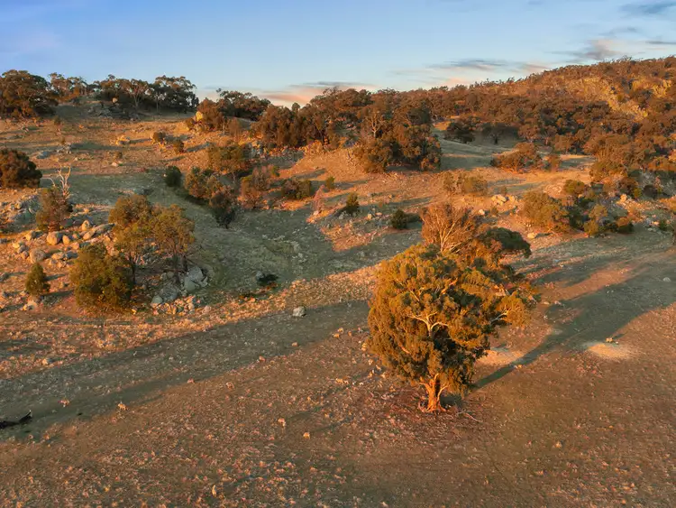 Seventh view of Homely rural property listing, 665 Creightons Creek Road, Creightons Creek VIC 3666