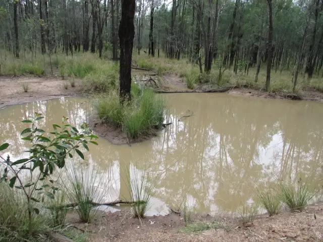 Fifth view of Homely rural property listing, Lot 113 Upper Humbug Road, Tara QLD 4421