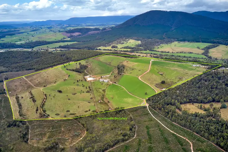 Second view of Homely rural property listing, 62 Bridport Back Road, Nabowla TAS 7260