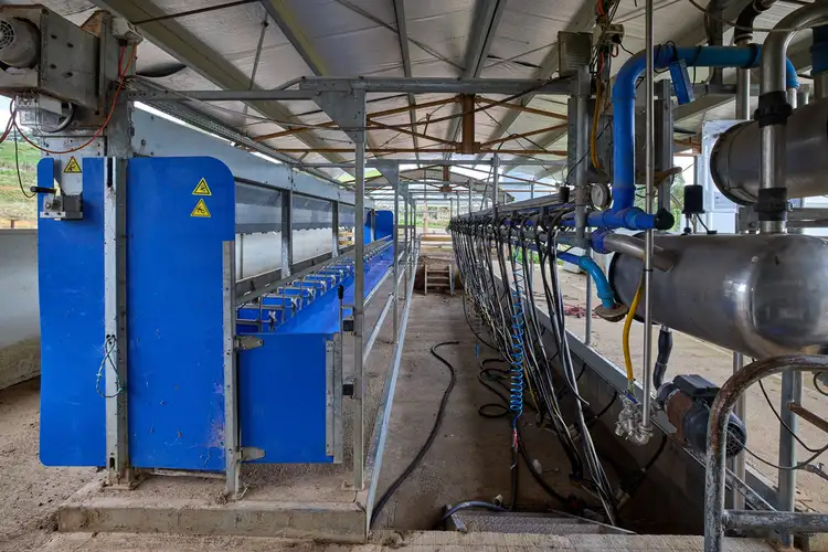 Fourth view of Homely rural property listing, 62 Bridport Back Road, Nabowla TAS 7260