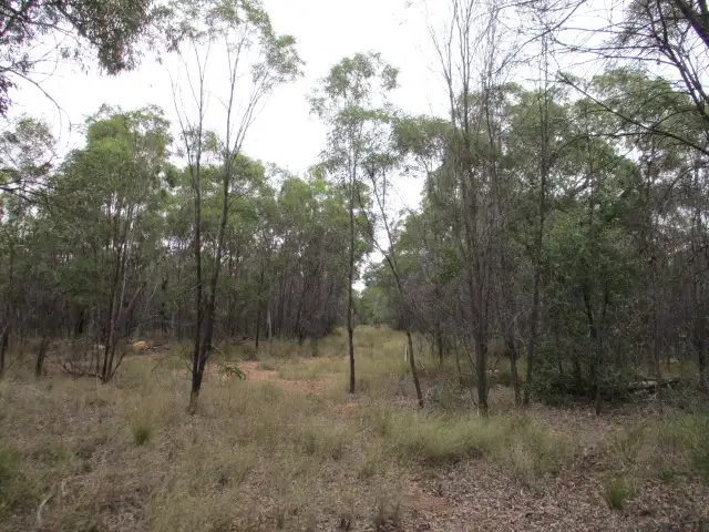 Main view of Homely rural property listing, Lot 44 Golden Glow Road, Tara QLD 4421