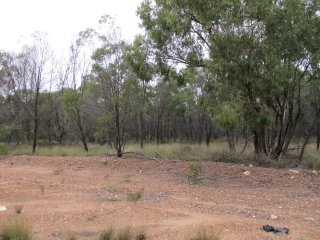 Third view of Homely rural property listing, Lot 44 Golden Glow Road, Tara QLD 4421