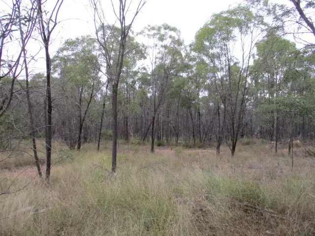 Fourth view of Homely rural property listing, Lot 44 Golden Glow Road, Tara QLD 4421