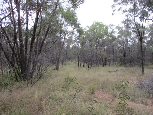 Fifth view of Homely rural property listing, Lot 44 Golden Glow Road, Tara QLD 4421
