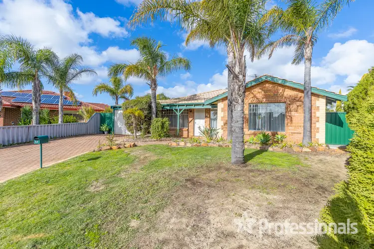 Second view of Homely house listing, 64 Ellenbrae Place, Marangaroo WA 6064