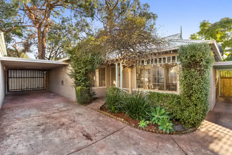 6/37 Moncoe Street, Boronia VIC 3155