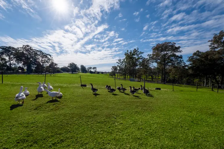 Seventh view of Homely rural property listing, 508 Sackville Road, Ebenezer NSW 2756