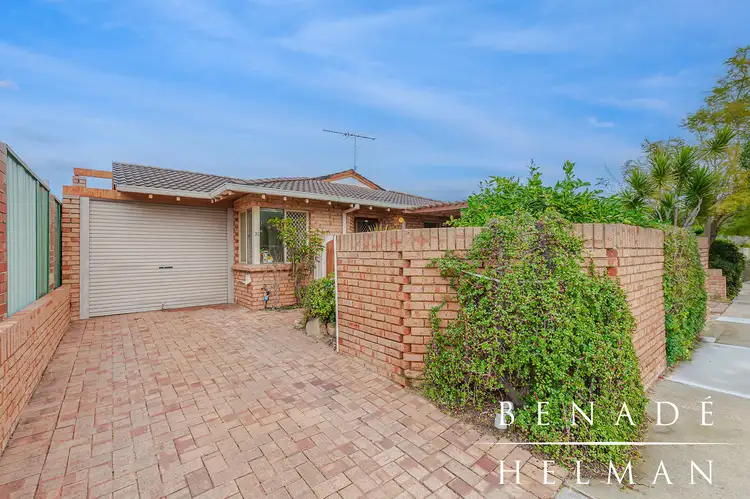 Main view of Homely unit listing, 1/313 Cambridge Street, Wembley WA 6014