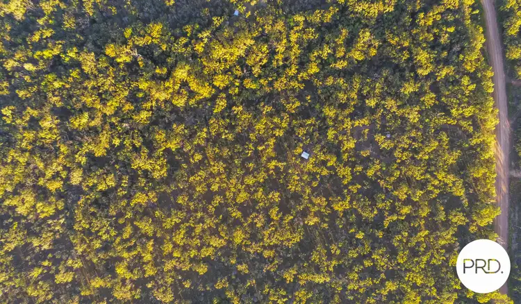 Seventh view of Homely house listing, Lot 176 Davies Road, Captain Creek QLD 4677