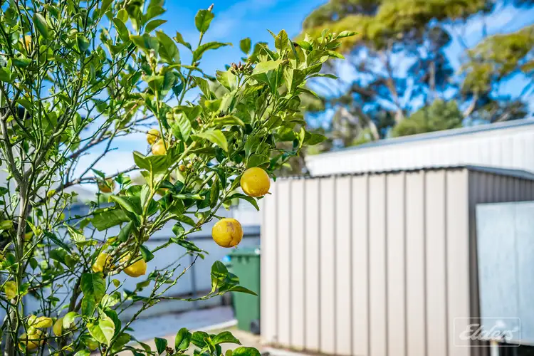 Fifth view of Homely house listing, 10 RICHARDS STREET, Goolwa SA 5214