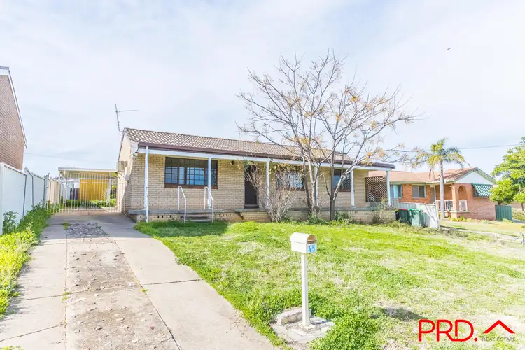 Third view of Homely house listing, 45 Quinn Street, Tamworth NSW 2340