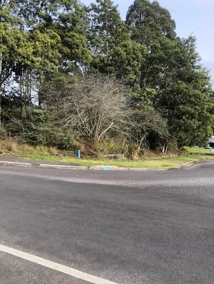 Main view of Homely land listing, 29 Baillieu Street, Rosebery TAS 7470