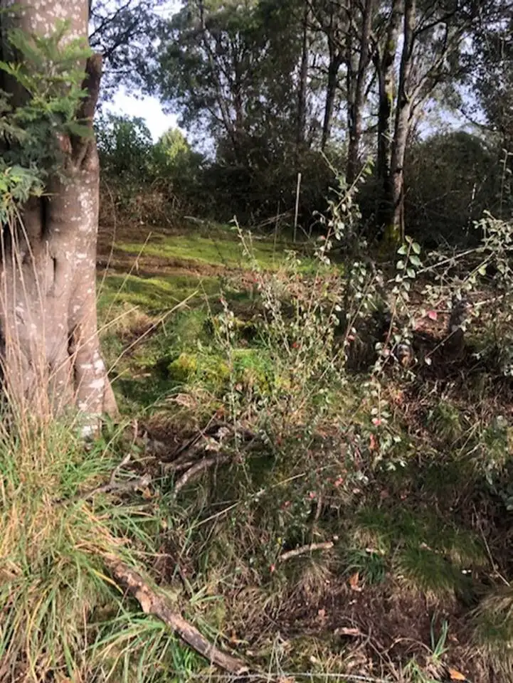 Second view of Homely land listing, 29 Baillieu Street, Rosebery TAS 7470