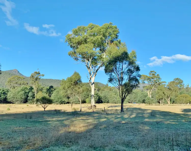 66 Tims Creek Road, Mathinna TAS 7214