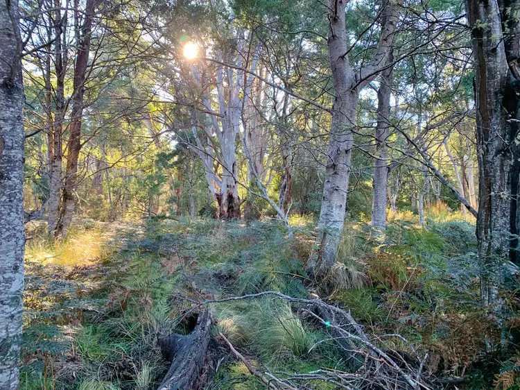 Sixth view of Homely land listing, 66 Tims Creek Road, Mathinna TAS 7214