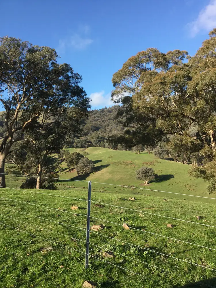 Fourth view of Homely rural property listing, 406 CHEVIOT ROAD, Limestone VIC 3717