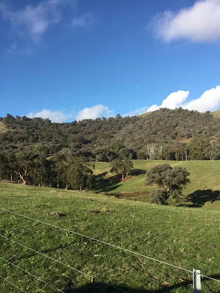 Fifth view of Homely rural property listing, 406 CHEVIOT ROAD, Limestone VIC 3717
