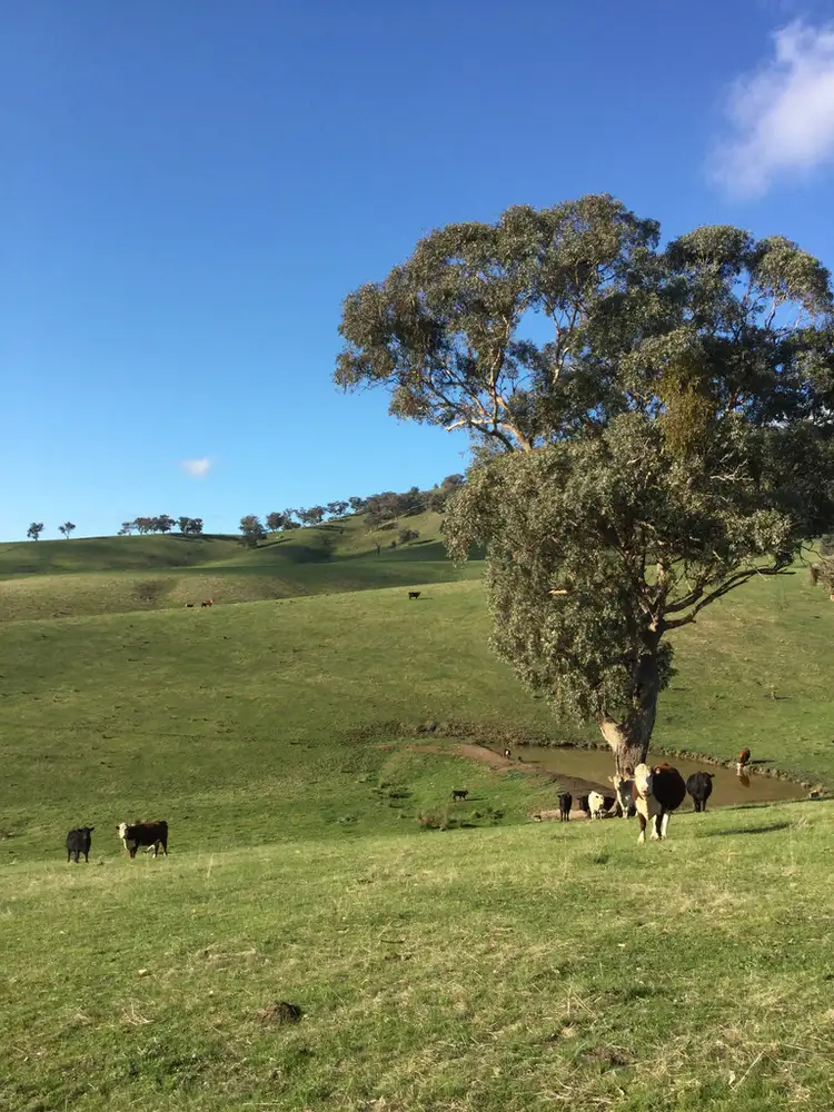 Sixth view of Homely rural property listing, 406 CHEVIOT ROAD, Limestone VIC 3717