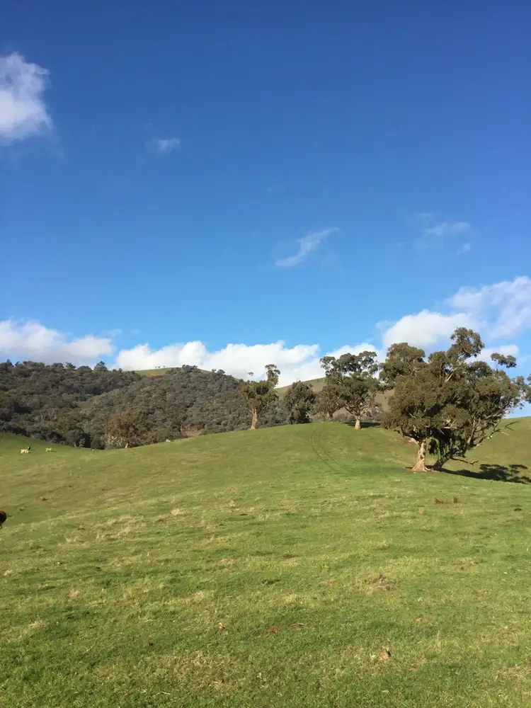 Seventh view of Homely rural property listing, 406 CHEVIOT ROAD, Limestone VIC 3717