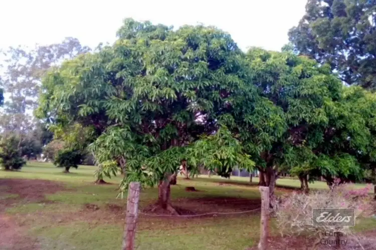 Fourth view of Homely land listing, 3 Band Hall Road, Bauple QLD 4650