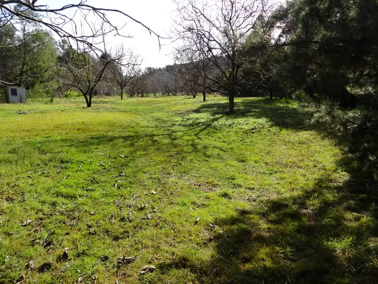 Main view of Homely rural property listing, 3237 Tallangatta Creek Rd, Tallangatta VIC 3700