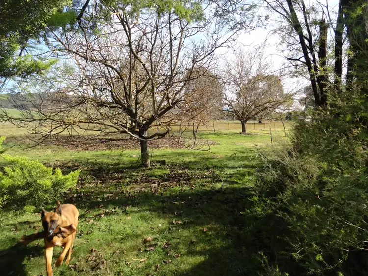 Second view of Homely rural property listing, 3237 Tallangatta Creek Rd, Tallangatta VIC 3700