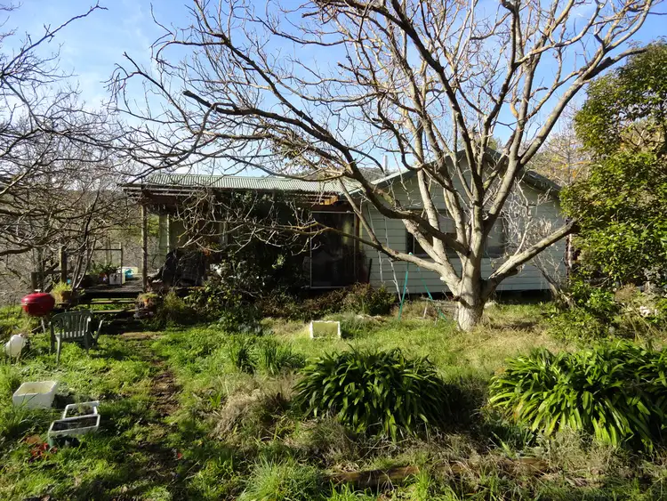 Third view of Homely rural property listing, 3237 Tallangatta Creek Rd, Tallangatta VIC 3700