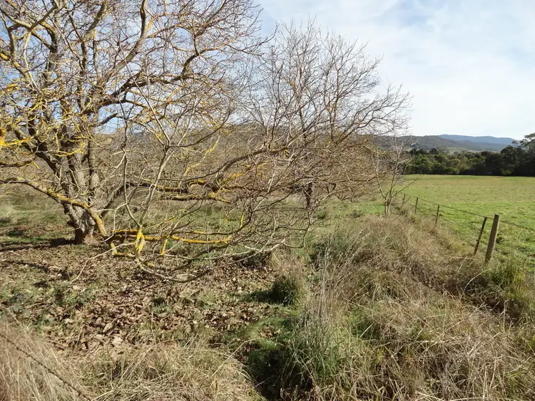 Sixth view of Homely rural property listing, 3237 Tallangatta Creek Rd, Tallangatta VIC 3700