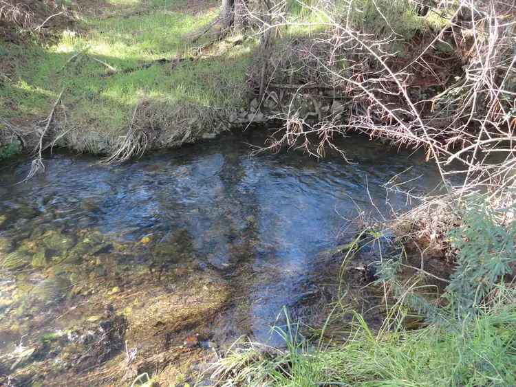 Seventh view of Homely rural property listing, 3237 Tallangatta Creek Rd, Tallangatta VIC 3700