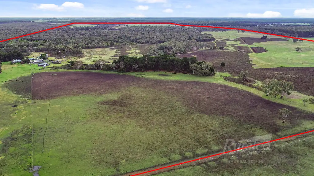 Main view of Homely house listing, 117 Searle Road, Monbulla SA 5277