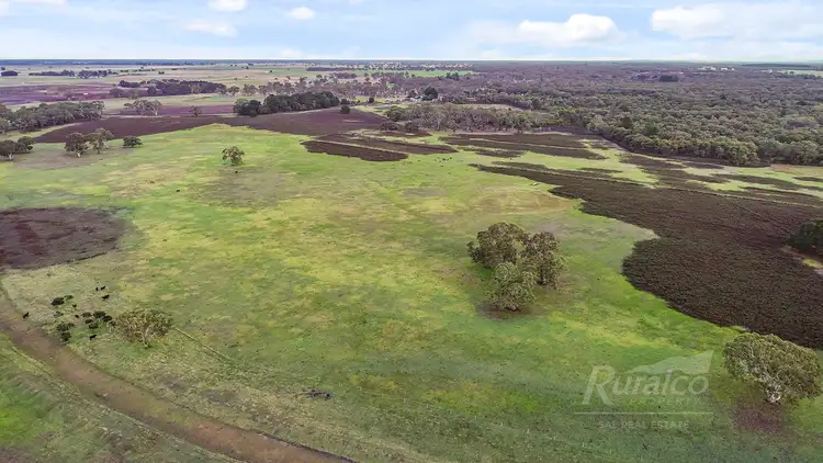 Fourth view of Homely house listing, 117 Searle Road, Monbulla SA 5277