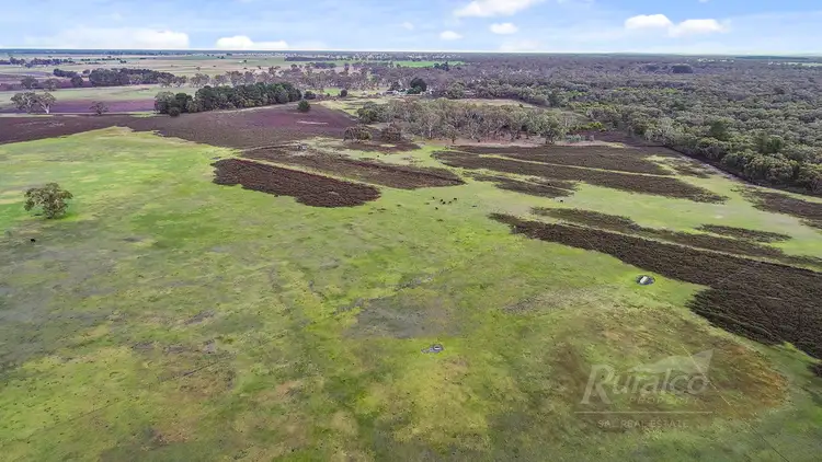 Fifth view of Homely house listing, 117 Searle Road, Monbulla SA 5277